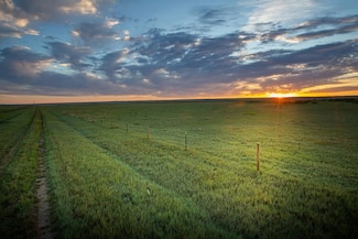 David Rd, Broadview, MT 59015