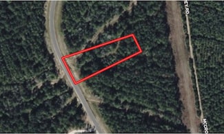 15392 Forest Grove Dr, Willis, TX 77378