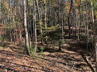 LT448 Apache Ct, Ellijay, GA 30540