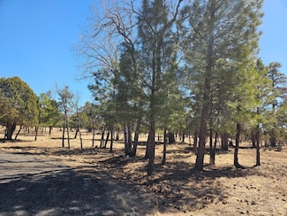 5732 Raton Cir, Happy Jack, AZ 86024