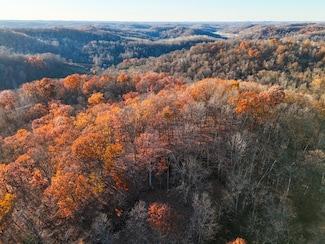 0 Williams Hollow Rd, Crown City, OH 45623