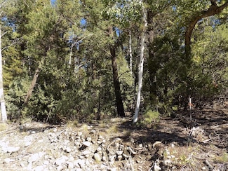 0 Zapata Place Unit 4 REC3683272, Mosca, CO 81146