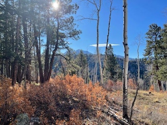 0 Sky Mountain Ranch Rd Unit 3 43068, Placerville, CO 81430