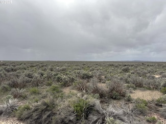 0 Fossil Lake Rd Unit 100 702559344, Christmas Valley, OR 97641