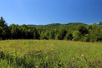 4 Wiggin Rd Unit 4, Danbury, NH 03230