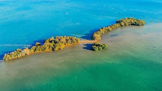 1 Bird Key, Miami, FL 33138