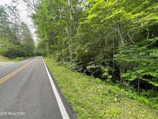 1477 Old Chilhowee Rd, Seymour, TN 37865