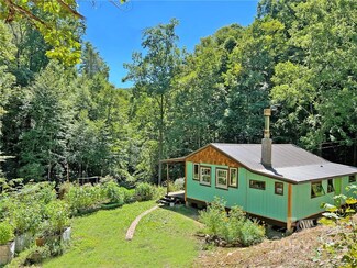 586 Rabbit Den Rd, Hot Springs, NC 28743