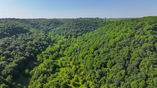 0 Tbd E Twin Ridge Rd Unit LotWP001, Houston, MN 55943