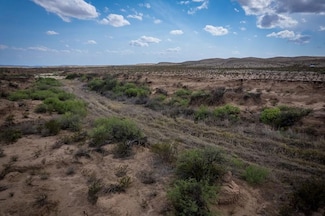 49169 Texas 118, Alpine, TX 79830