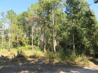 000 County Road 2125, Cleveland, TX 77327