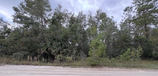 105 Pleasant Dr, Crescent City, FL 32112