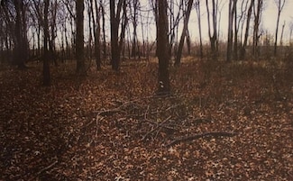 LOT 70 Blue Gill Rd, Vicksburg, MS 39183