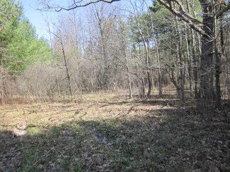 0 Wright Rd Unit R175002, Pulteney, NY 14874