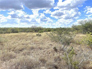 00 Cr 341, George West, TX 78022