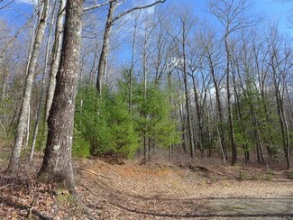87 Summer Haven Dr Unit lot 2, Cedar Mountain, NC 28718