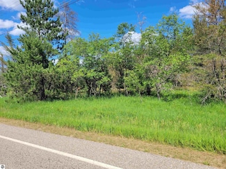 0 Lovells Rd Unit 1933430, Lovells Township, MI 49738