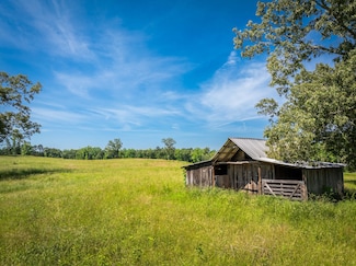 3843 Timberlake-Wildersville Rd, Lexington, TN 38351
