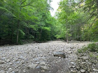 Lot 43 E Bobcat Ln, Wilder, TN 38589