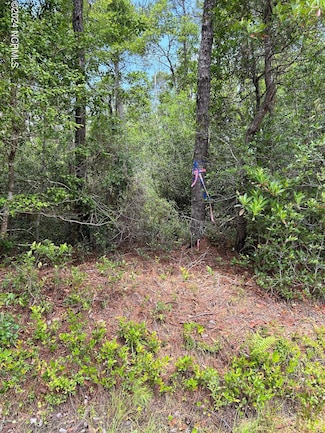1695 Beech Rd, Boiling Spring Lakes, NC 28461