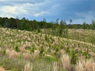Little Mount Calvary Rd, McCool, MS 39108