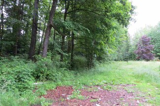 128 Sawyer Hill Rd, Mount Holly, VT 05758