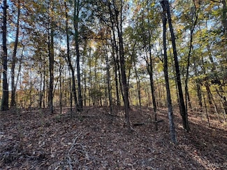 Lot 6 Allison Dr, Lake View, AL 35111