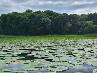 TBD Valley Ln SW, Moe Township, MN 56327