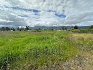 4 Springer St, Puget Island, WA 98612
