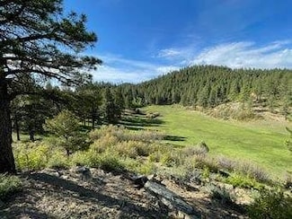 28444 W U S Highway 160, Pagosa Springs, CO 81147