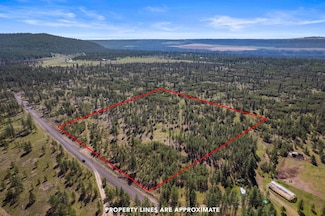 5742 Corkscrew Canyon Rd Unit Lot 3, Tumtum, WA 99034