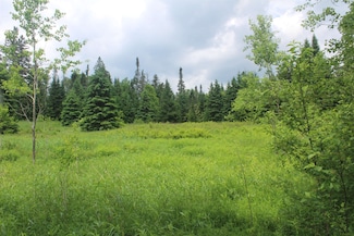 0 Cobb Rd Unit 5046229, Walden, VT 05873