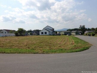0 Carol Ann's Way, Saugerties, NY 12477