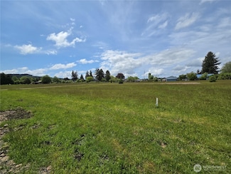 9994 2 Cousins Dr, Forks, WA 98331