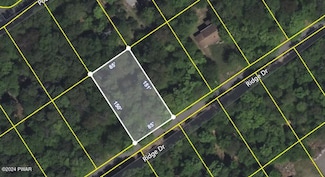 88 Ridge Dr, Lehigh Township, PA 18424