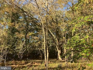 81 Davis Rd, Marion Station, MD 21838