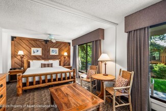 300 Carriage Way Unit 201, Snowmass Village, CO 81615