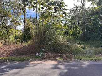 0 Mauna Kea Dr Unit 720342, Pahoa, HI 96778