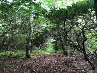 TBD Little Elbow Mountain Rd, Lake Toxaway, NC 28747