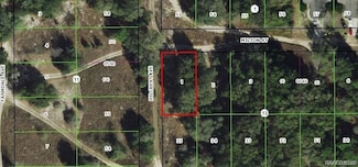 2109 Milton St, Inverness, FL 34450
