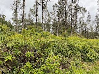 0 Molokai Rd Unit 709590, Pahoa, HI 96778