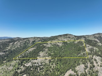 0 Cougar Creek Rd, Wauconda, WA 98859