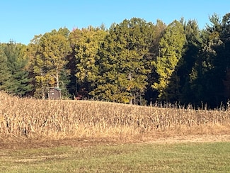 Par A Monroe Rd, Lakeview, MI 48850