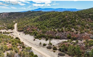 6190 Farview Valley Rd, Trinidad, CO 81082