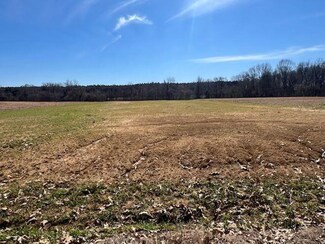 LOT 4 Brammer Rd, Mason, TN 38049