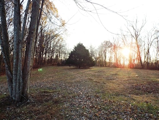 198 Rock House Hollow Pvt Ct, Bethpage, TN 37022