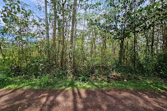 0 Silversword Ct Unit 719802, Kurtistown, HI 96760