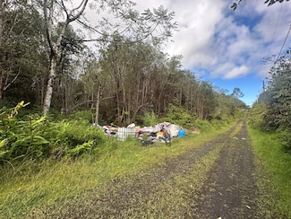 18-1272 Kauai St, Mountain View, HI 96771