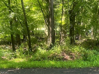116 North Ct, Montague, NJ 07827