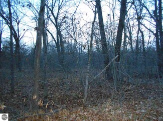 00 Kocot Rd, Sterling, MI 48659